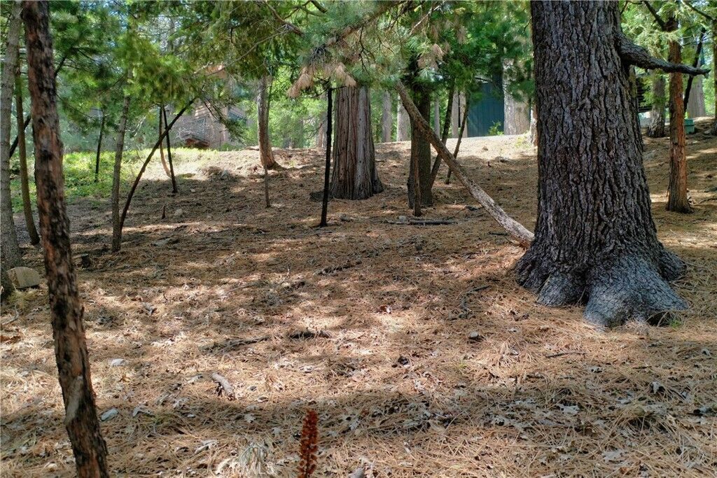 Property Photo: 0 Terrace CA 92352