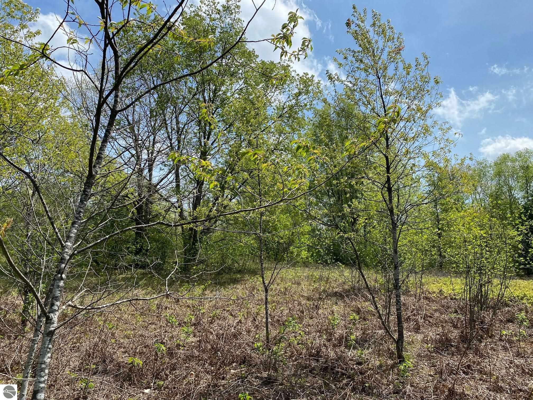 Property Photo: Crestview Drive MI 49601