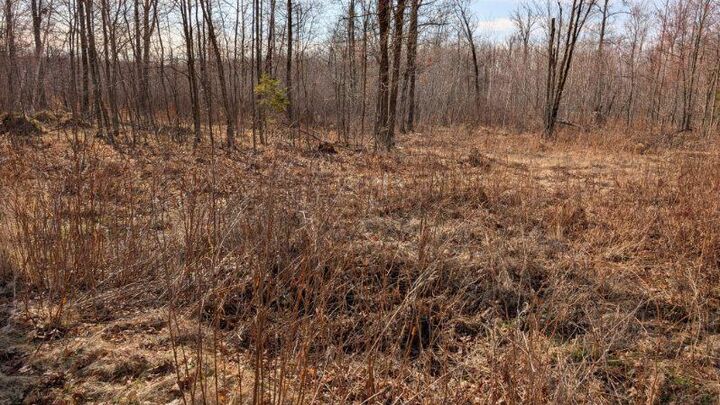 Property Photo: Tbd Lacy Lane MN 56472