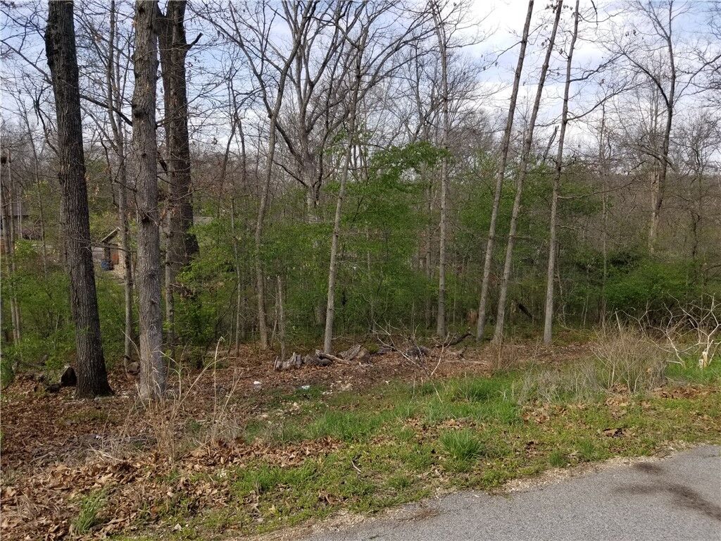 Property Photo: Wentworth Drive AR 72715