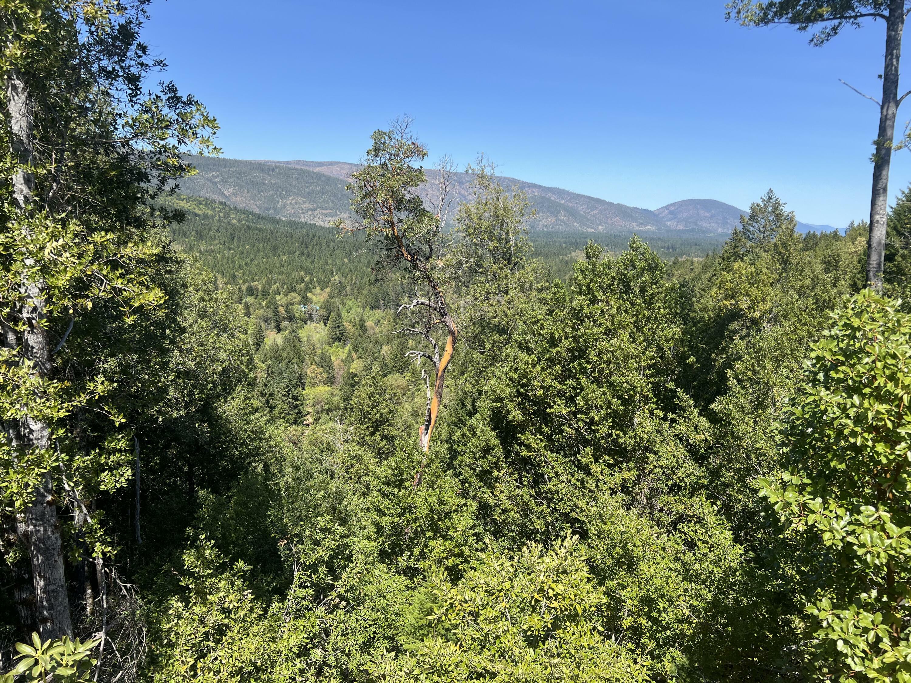 Property Photo: Redwood Highway 1101 OR 97534