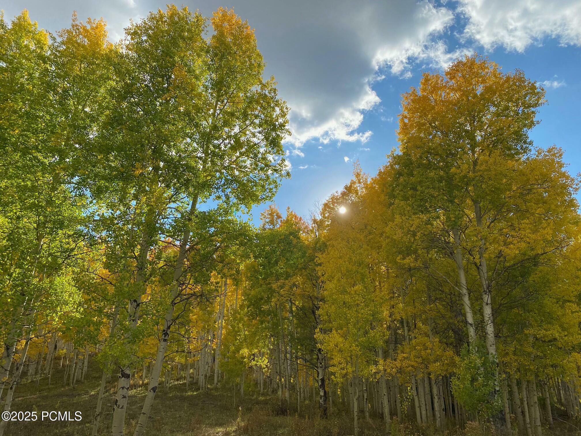 Property Photo: 3954 Blue Spruce Drive UT 84032