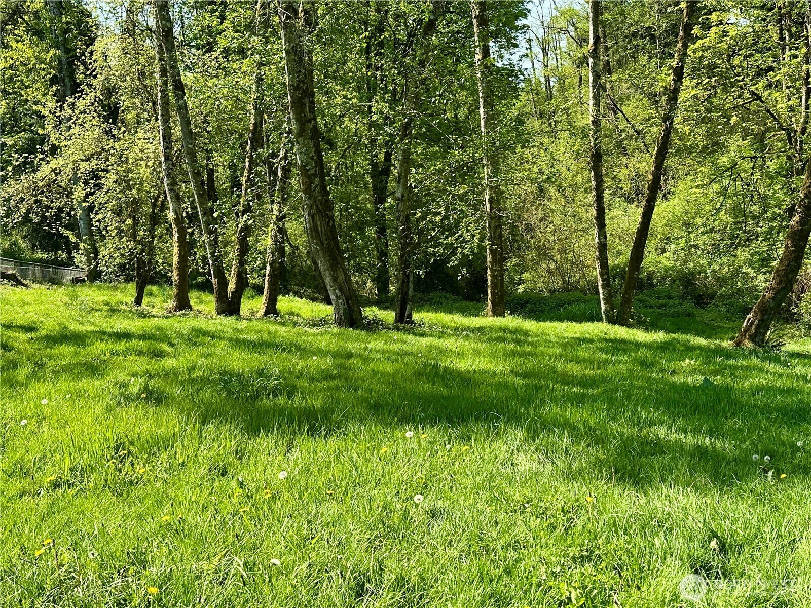 Property Photo: 230 Olson Road WA 98632