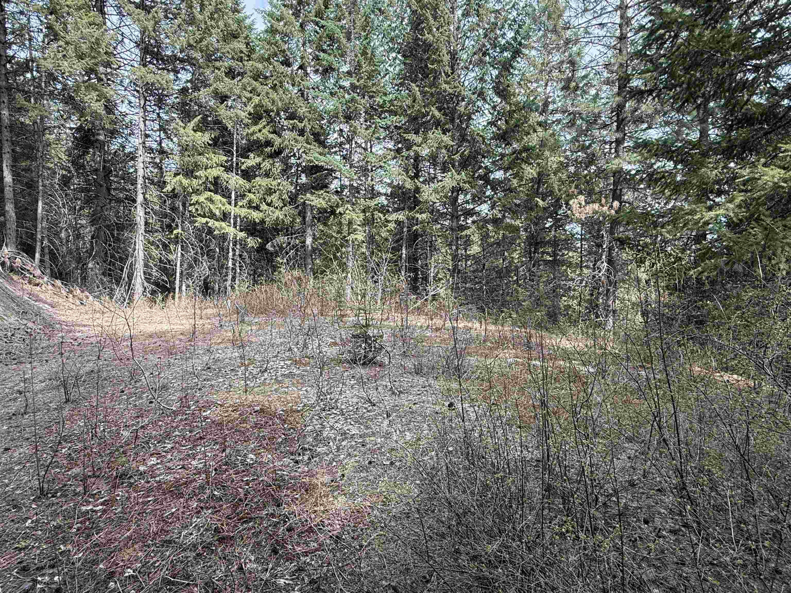 Property Photo: Nna Buck Creek Rd WA 99148
