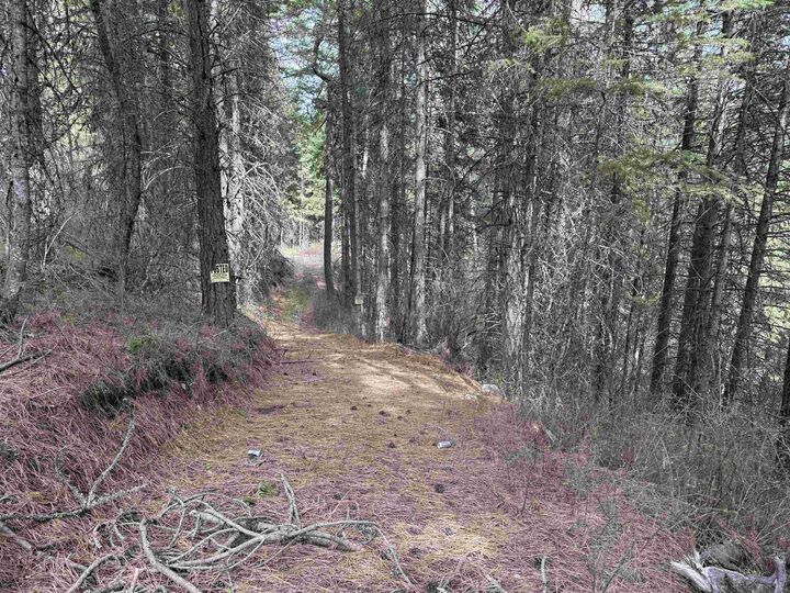 Property Photo:  Nna Buck Creek Rd  WA 99148 