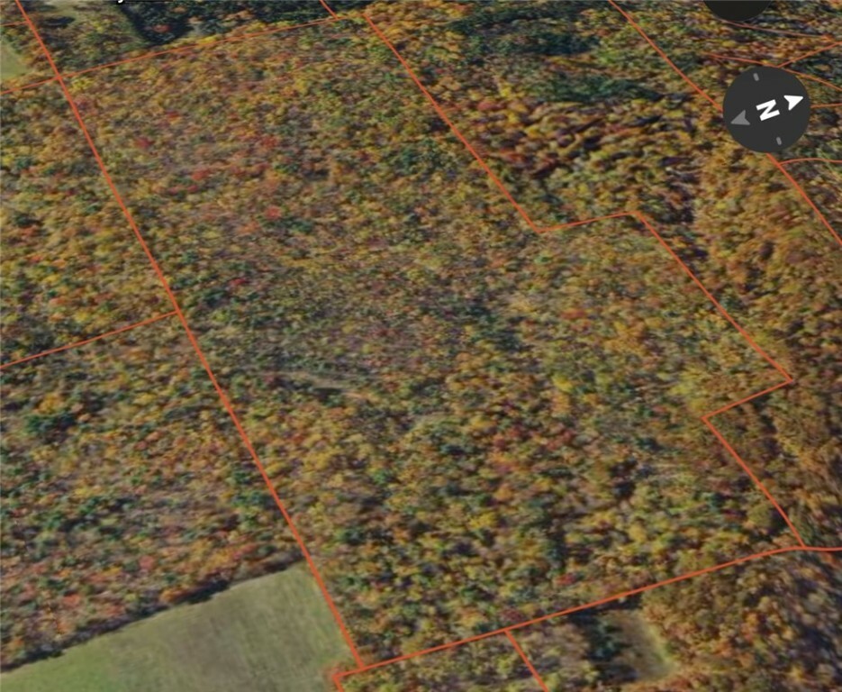Property Photo: 556 North Road NY 13904