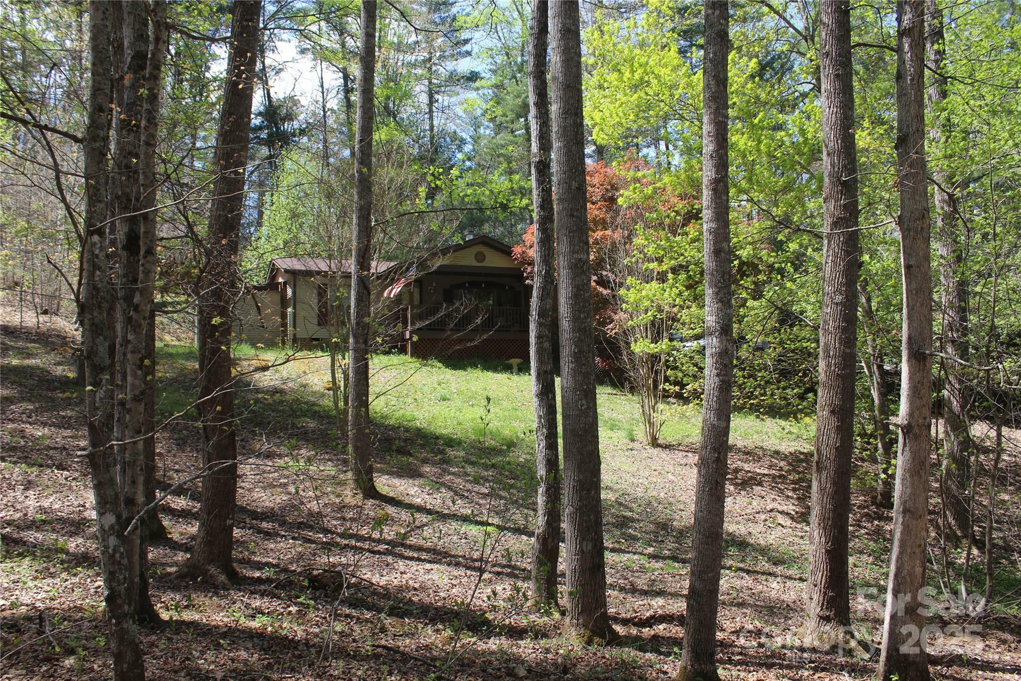 57 Sleepy Forest Drive  Leicester NC 28748 photo