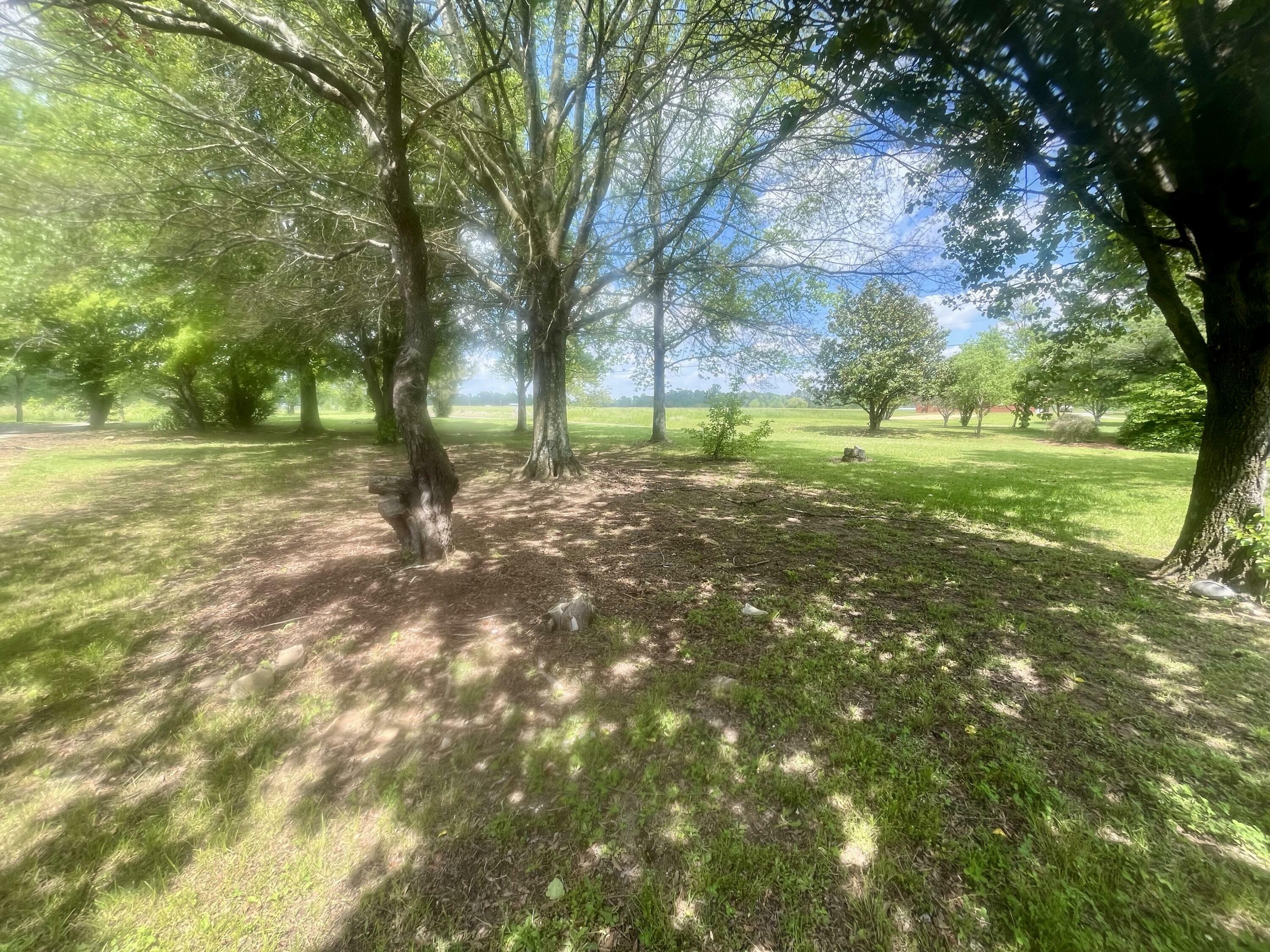 Property Photo: 2421 County Road 151 AL 35978