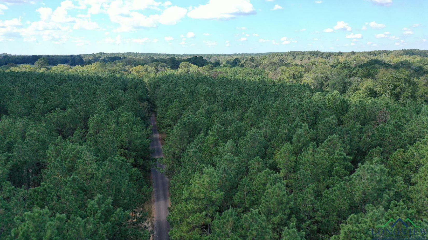 Property Photo: 0002 County Road 1926 Tract 2 TX 75563