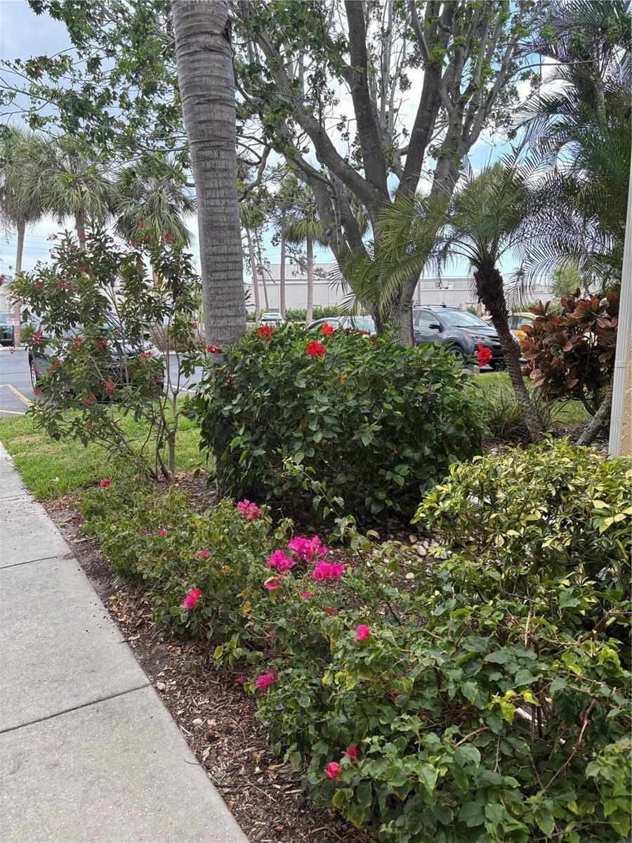 Property Photo: 618 Bird Bay Drive S 109 FL 34285