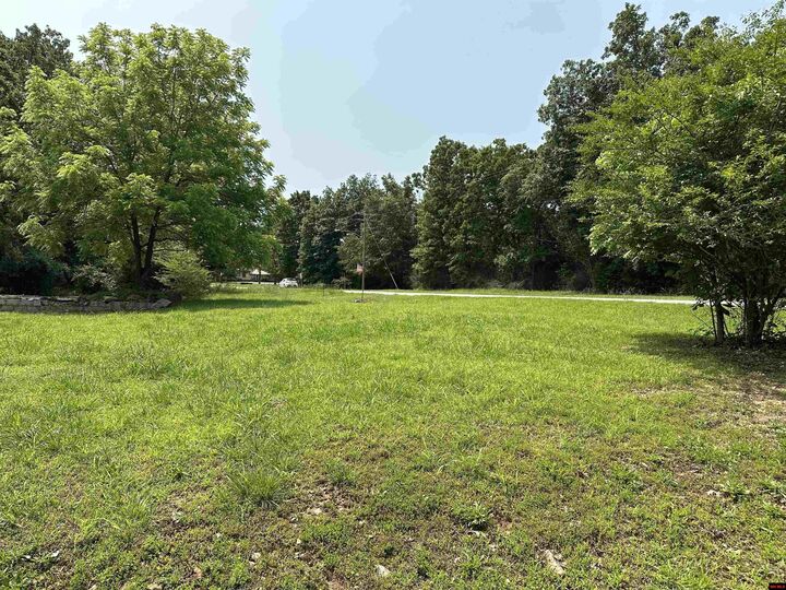 Property Photo:  320 Hazelwood Drive  AR 72630 