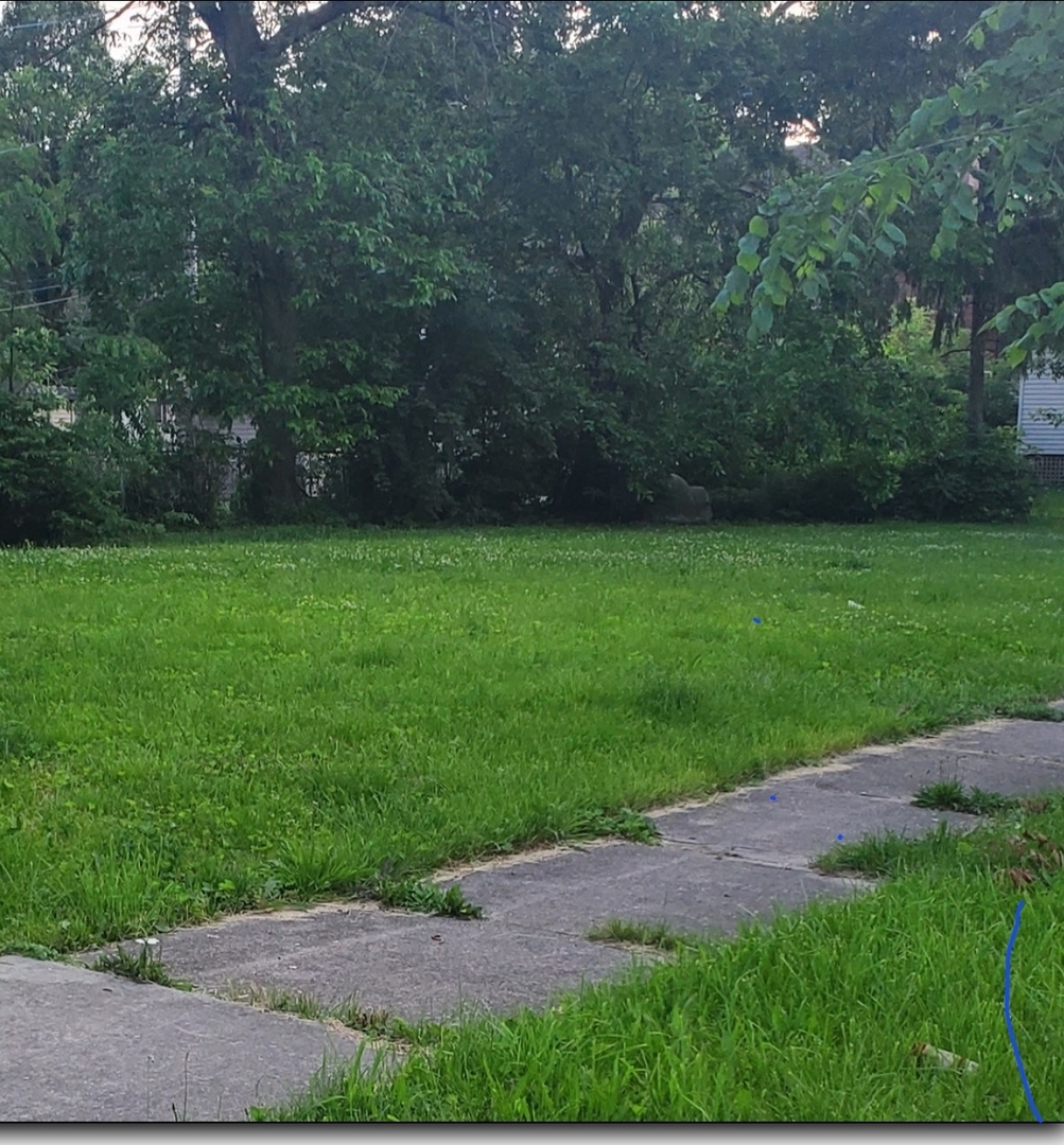 Property Photo: 2005 W Edmaire Street IL 60643