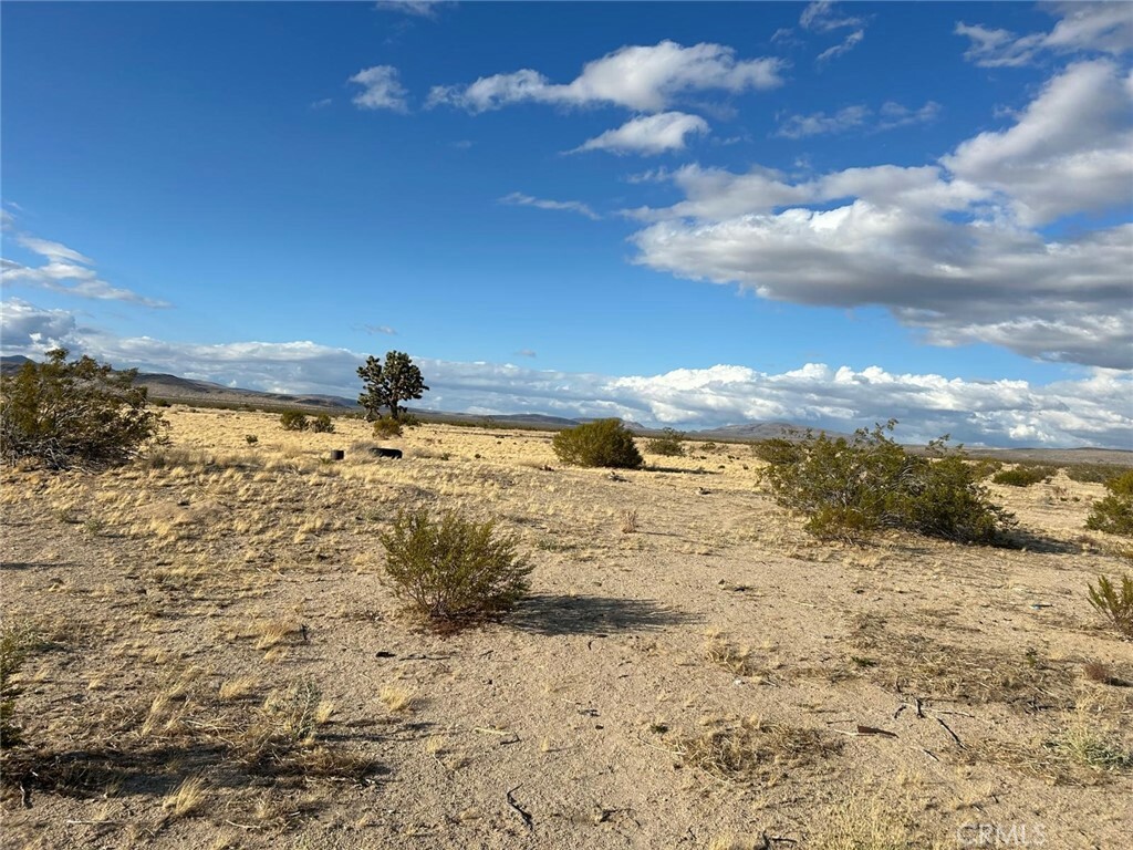 Property Photo:  0 Lucerne Valley Cut Off  CA 92356 