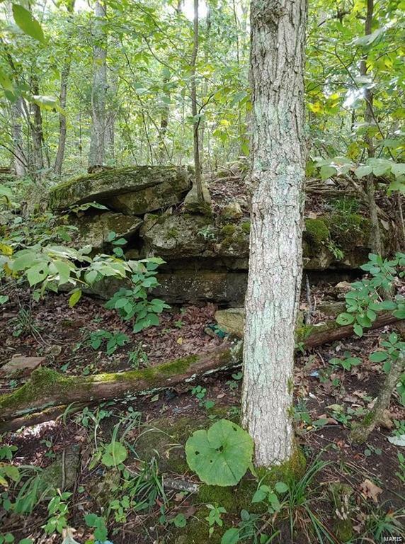 Property Photo: 102 N Kings Road MO 63357