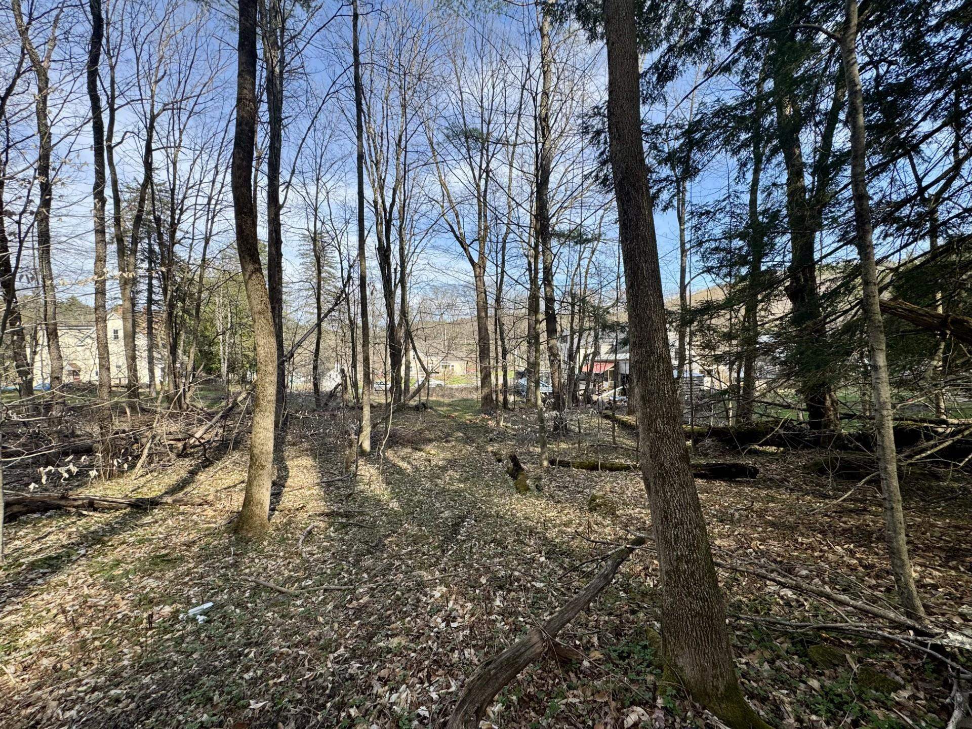 Property Photo: 00 High Street NH 03448