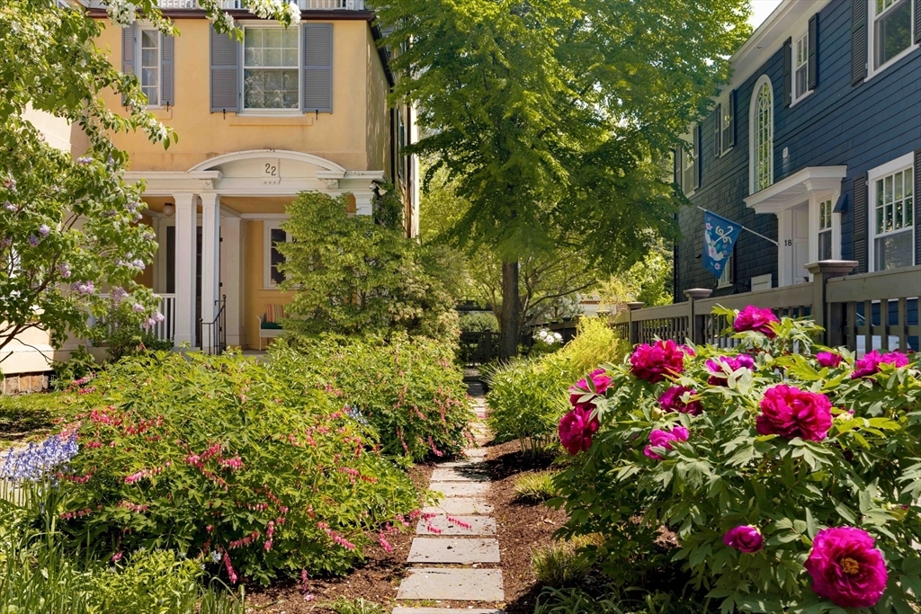 Property Photo: 22 Francis Avenue MA 02138