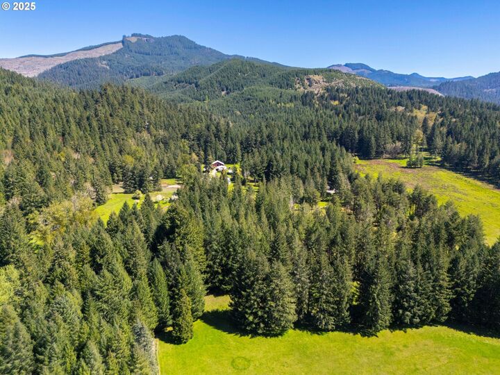 Property Photo: 75325 Mosby Creek Rd OR 97424