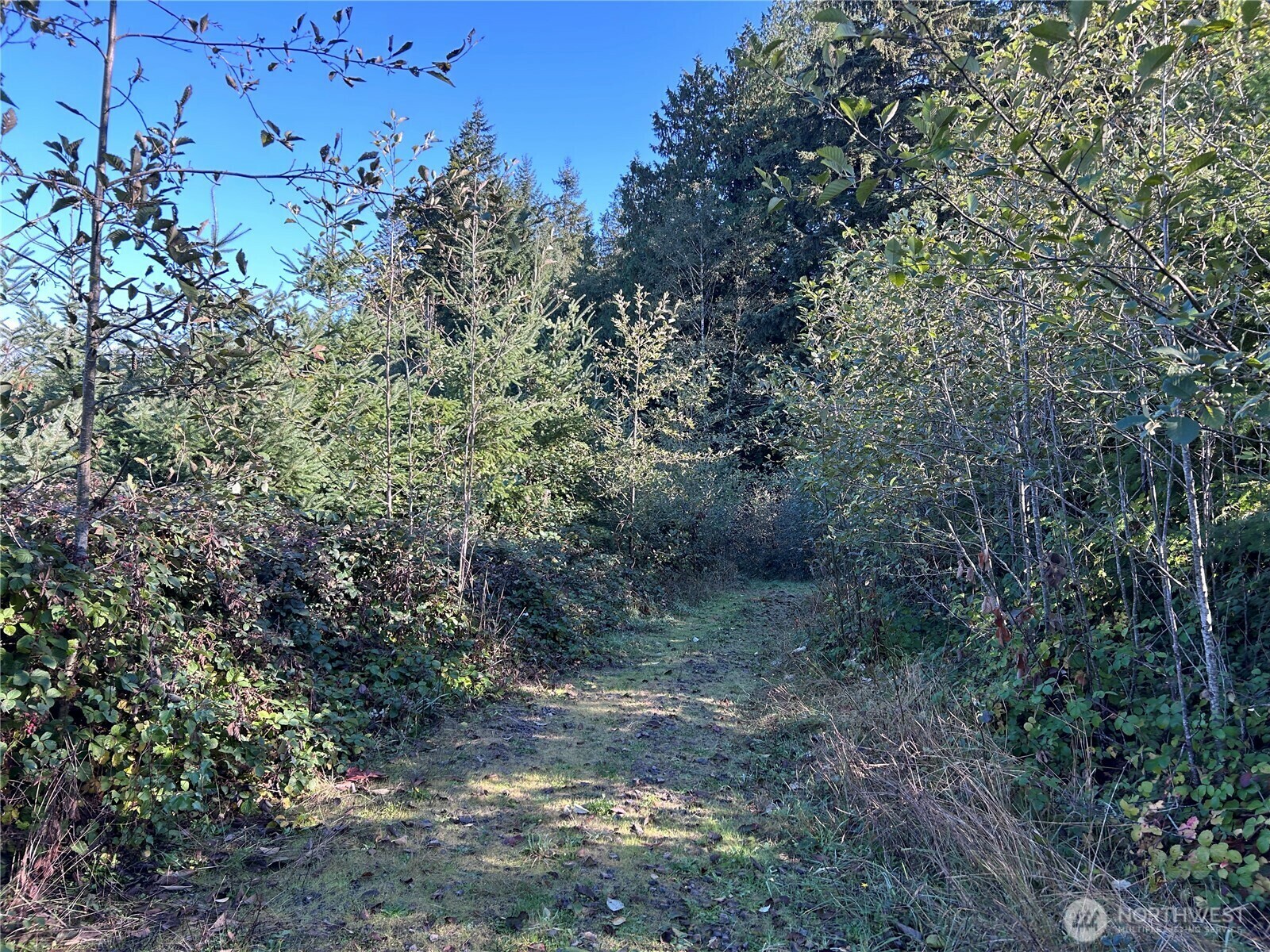 Property Photo: 0 Nka Mt Brynion Road WA 98626
