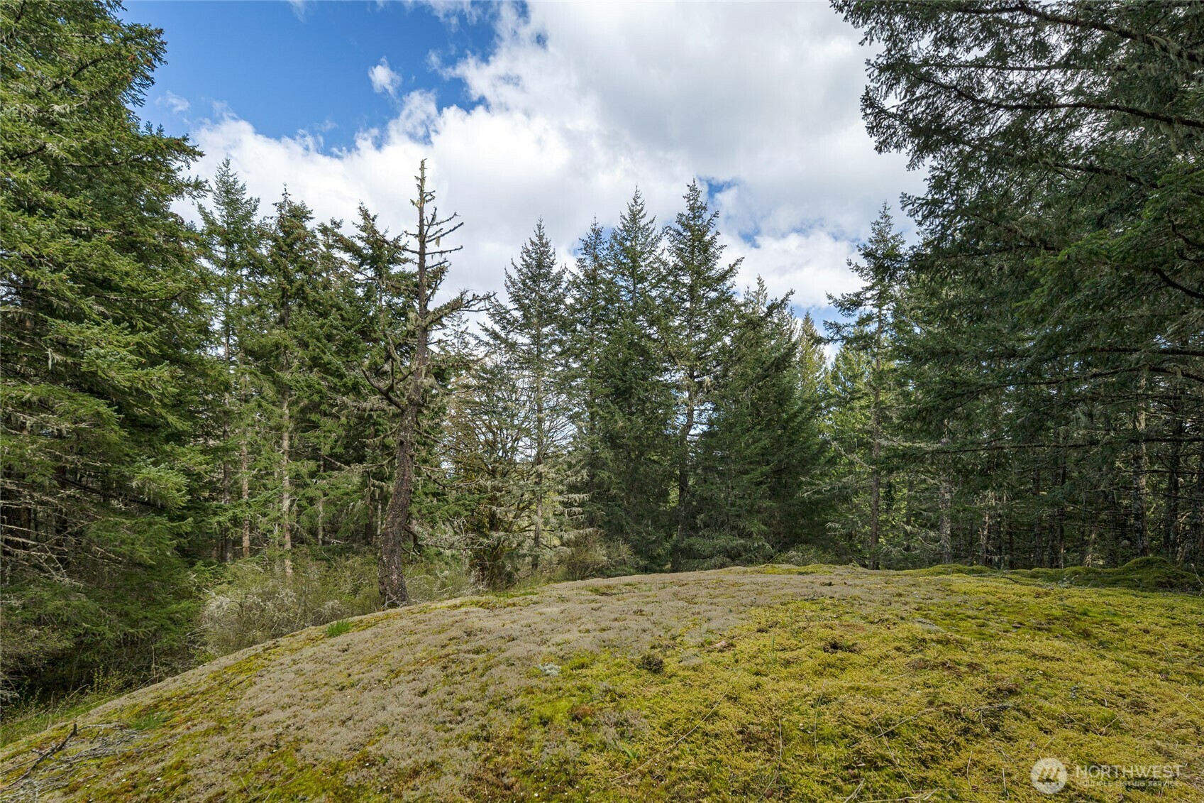 Property Photo: 1087 Cady Mountain Road WA 98250