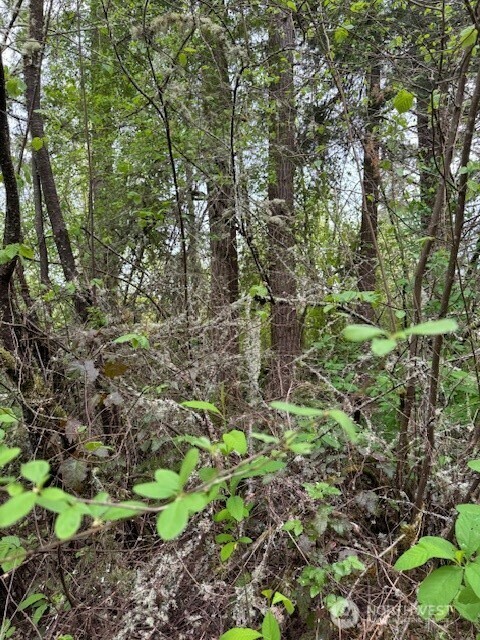 Property Photo: 0 Clinton Road WA 98532
