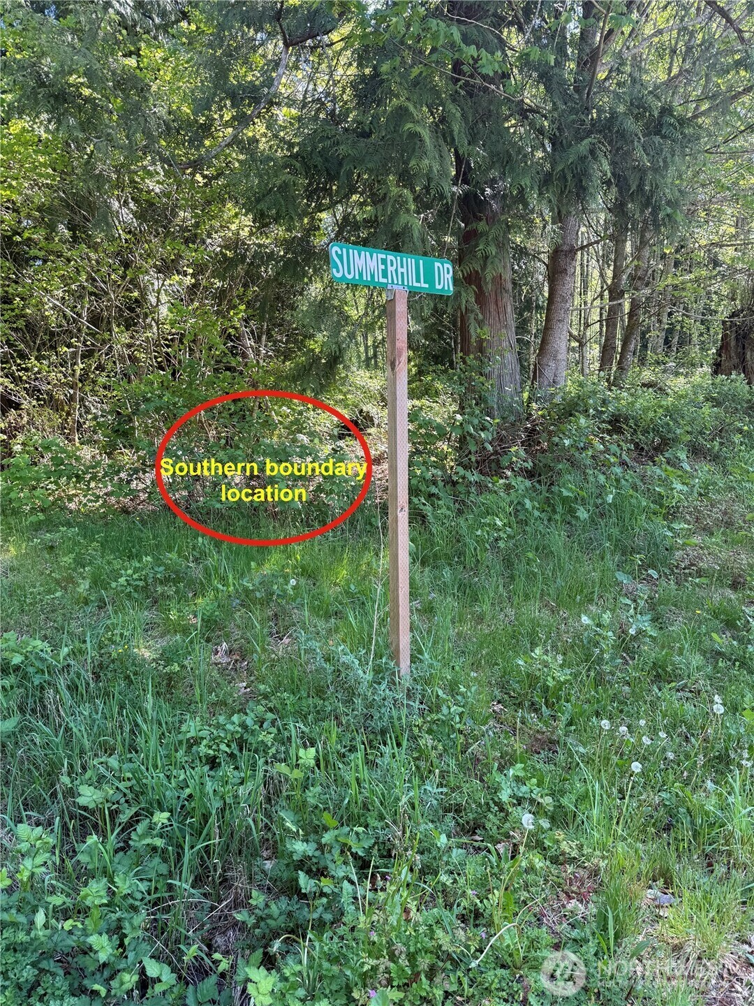 Property Photo: 0 Alger Ccc Road WA 98284