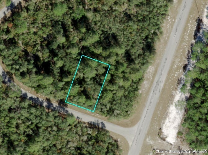 Property Photo:  Tbd Fisher Loop Run  FL 32179 