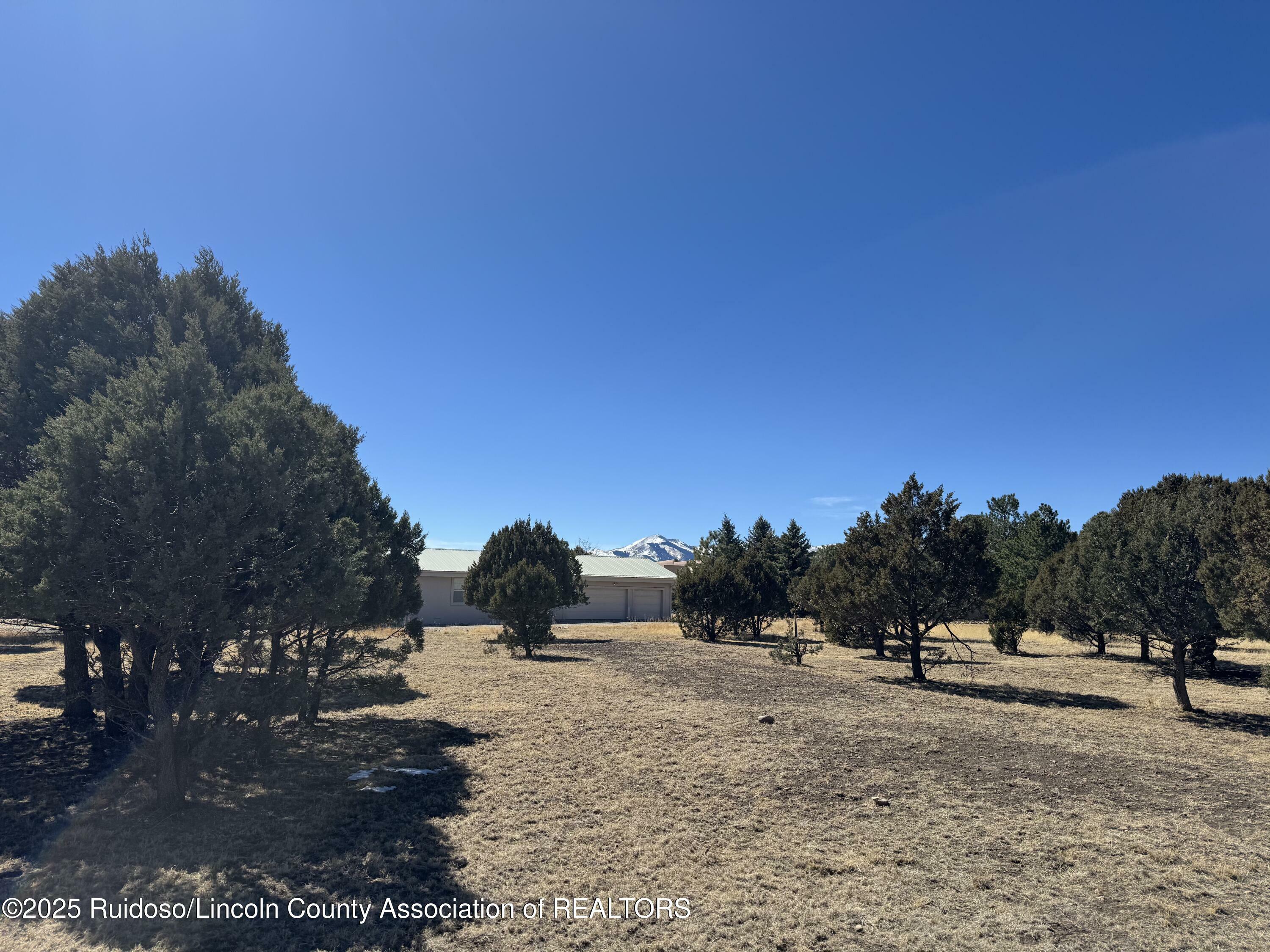 Property Photo: Lot 33 Mira Monte Road NM 88312