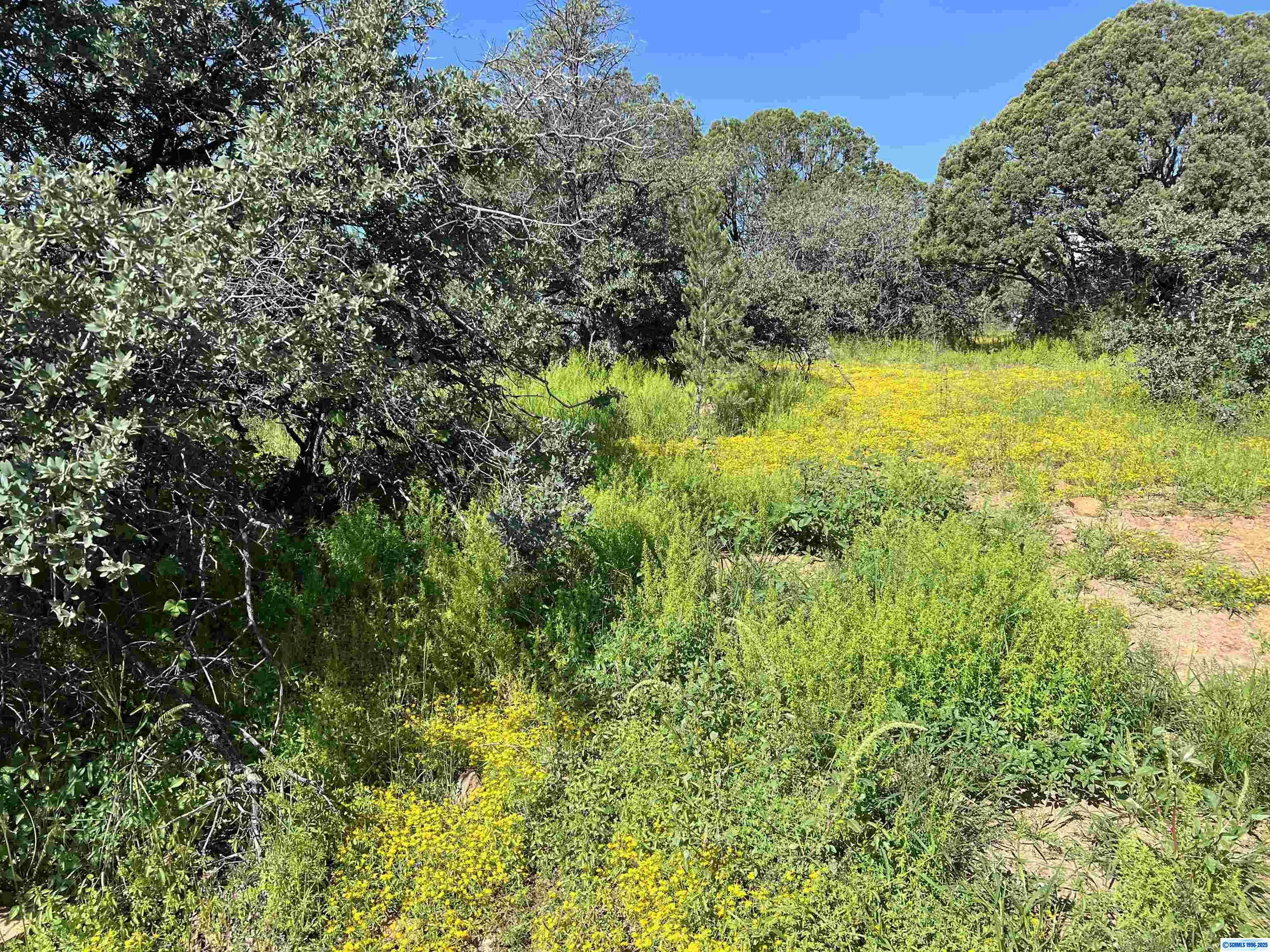 Property Photo: 2xx Xyz Ranch Road NM 88061