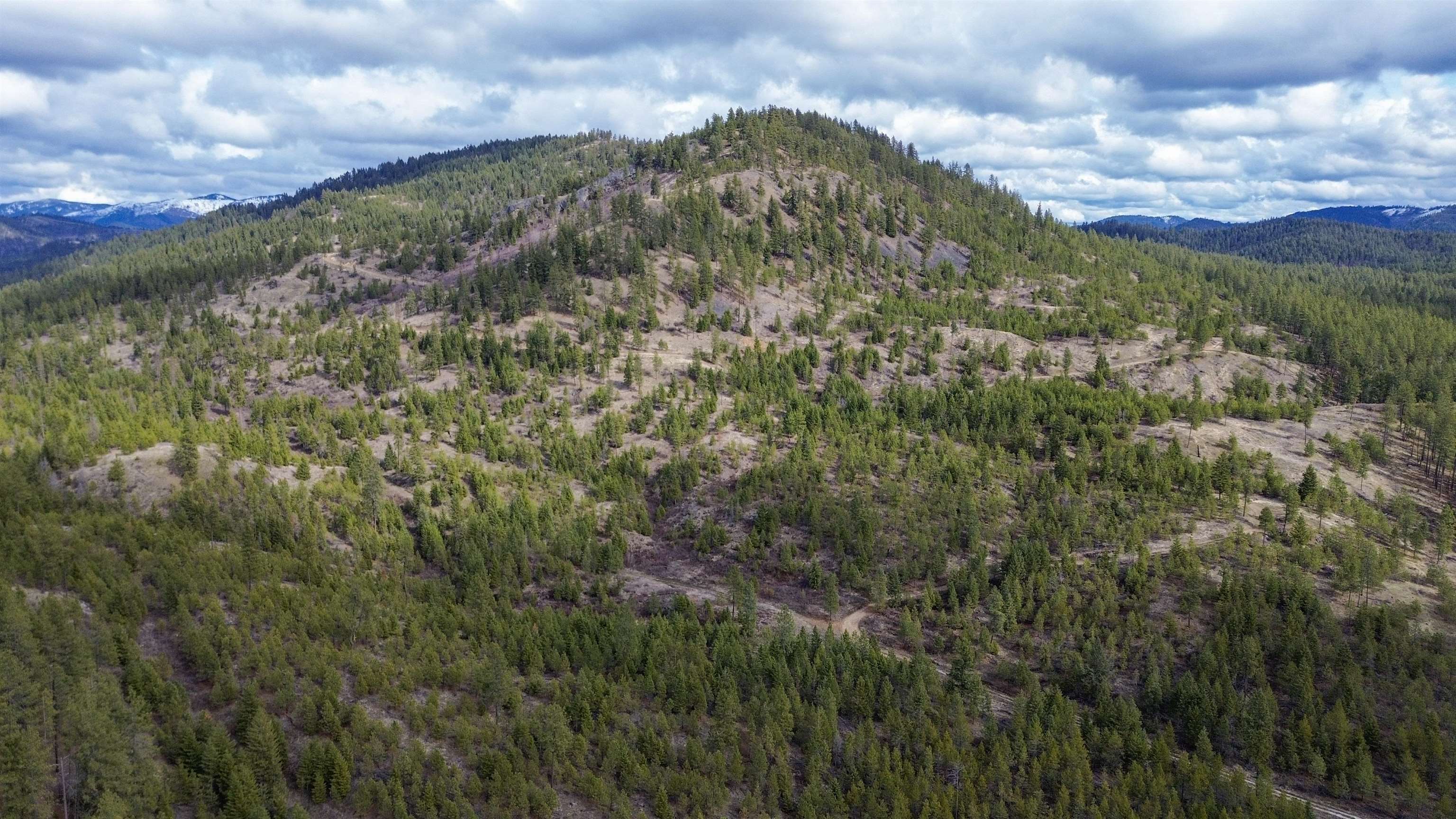 Property Photo: 352X Greene Rd WA 99181