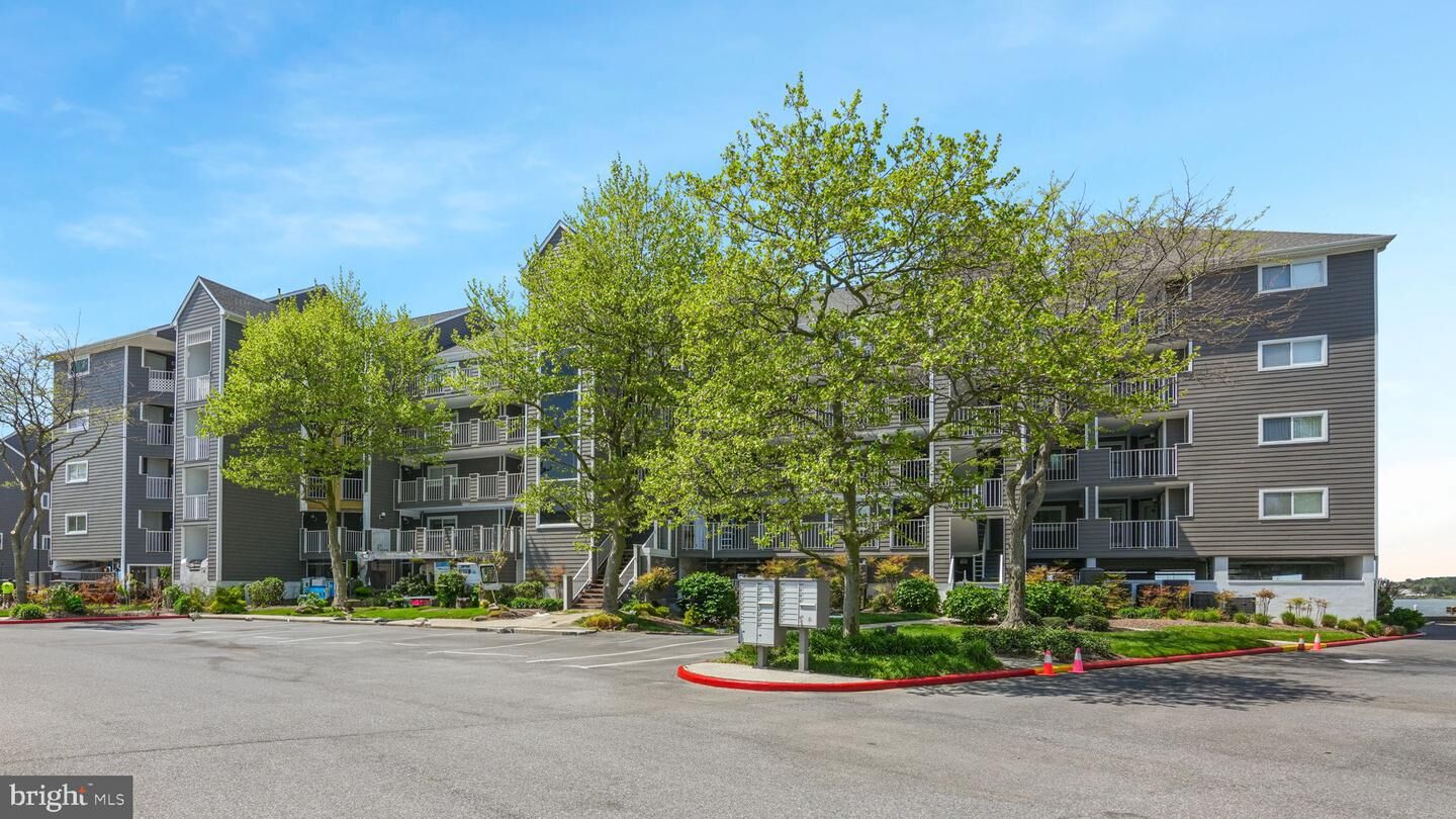 Property Photo:  423 14th Street 205 K  MD 21842