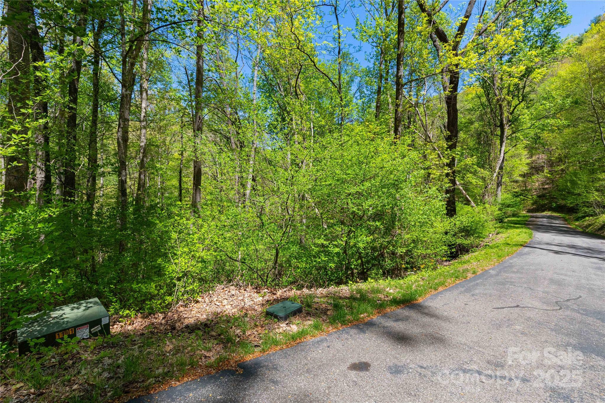 Tbd Whispering Woods Path  Mars Hill NC 28754 photo