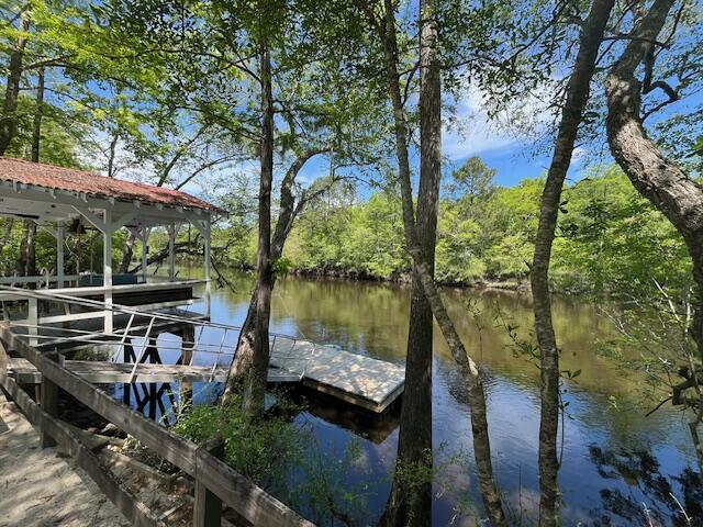 Property Photo: 78 Hannibal Trail SC 29472