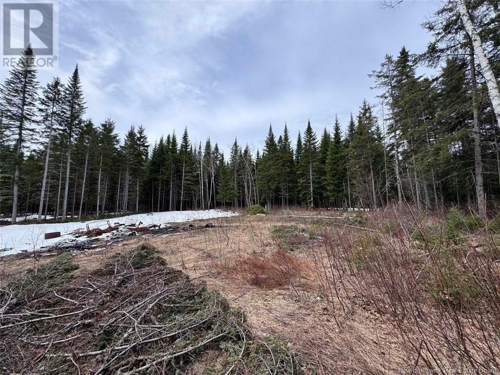 Property Photo:  Lot 36 Road  NB E8A 2M5 
