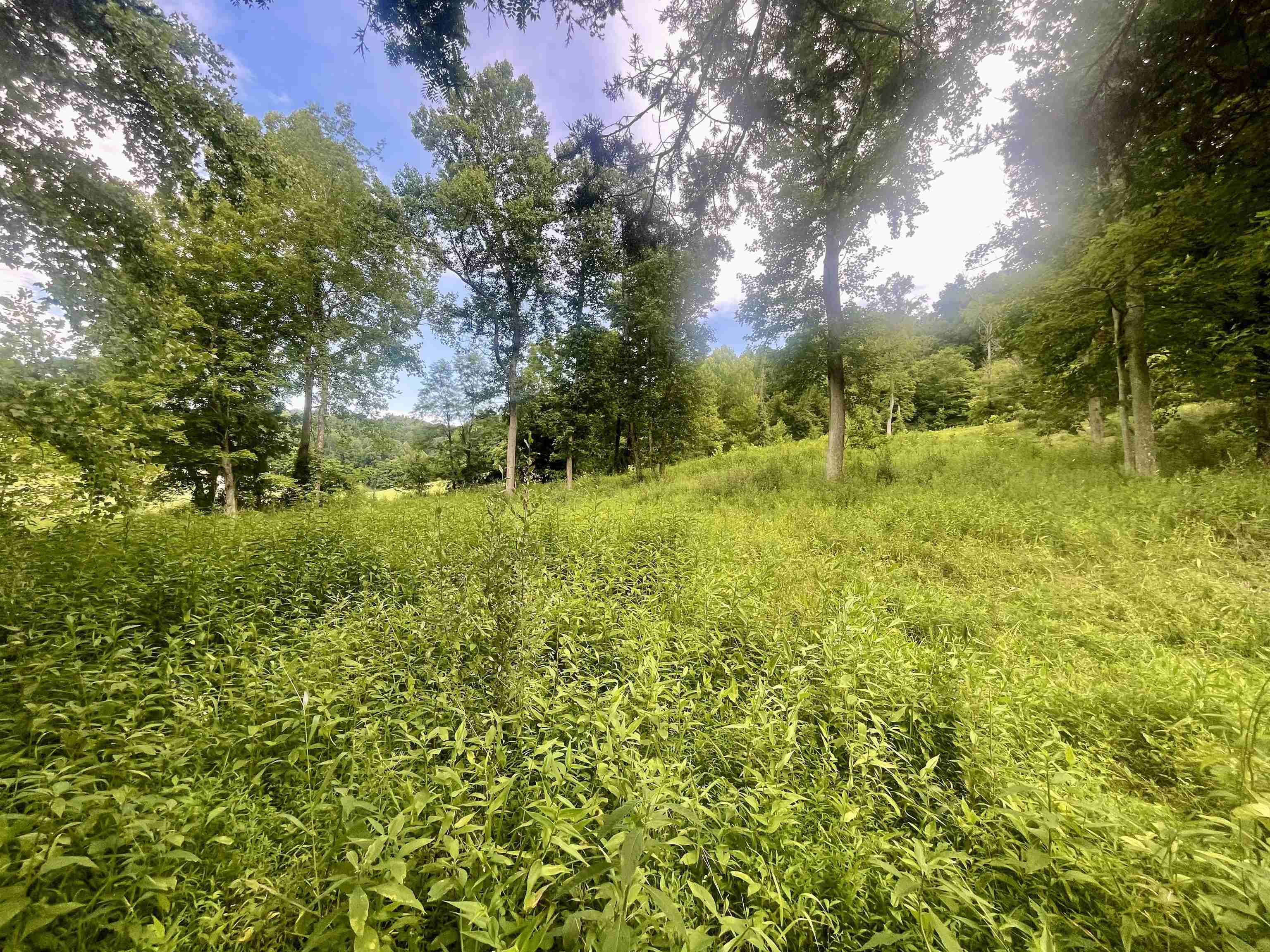 Property Photo: 0 Malcolm Road WV 25504