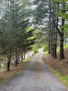 Property Photo: 4415 State Hwy 522 KY 40865