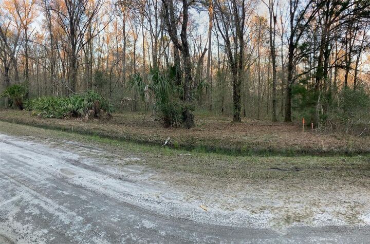 Property Photo: 10450 Weatherby Avenue FL 32145