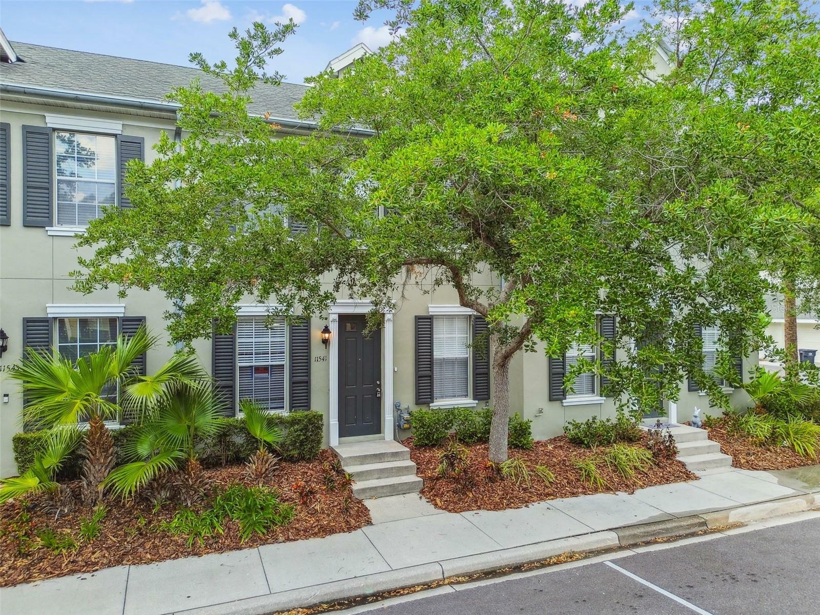 Property Photo: 11541 Fountainhead Drive FL 33626