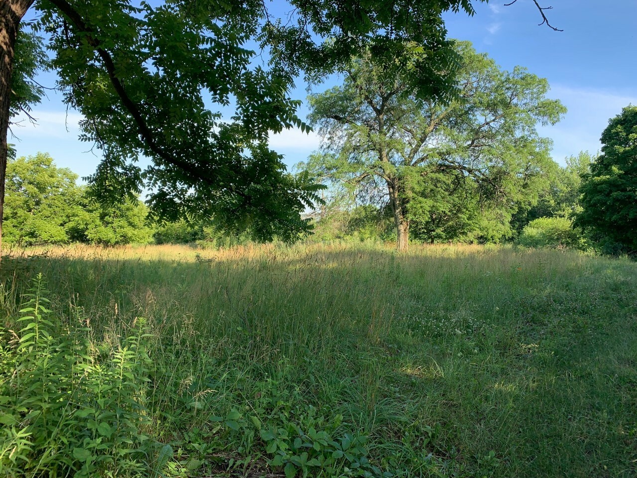 Property Photo: 3523 Long Grove Road IL 60047