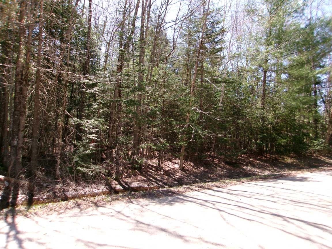 Property Photo: Aspen Lane NH 03230