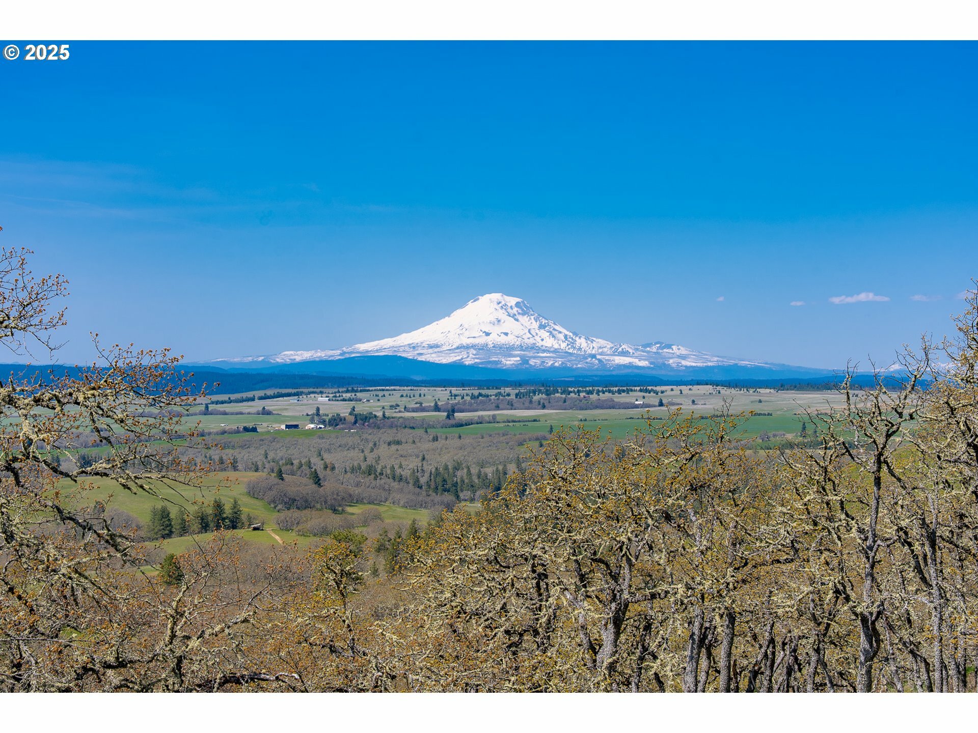 Property Photo: Stacker Butte Rd WA 98635