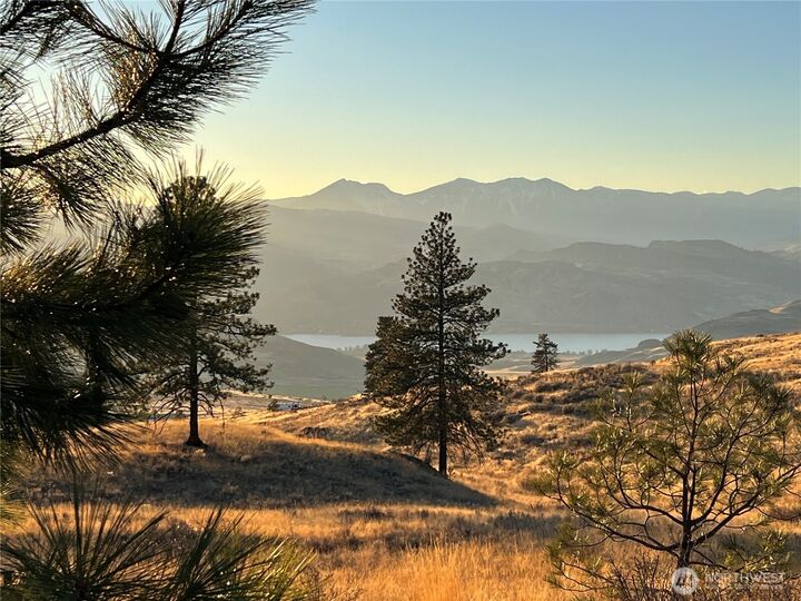 Property Photo:  0 Lot 41  Homestead Spur Road  WA 98844 