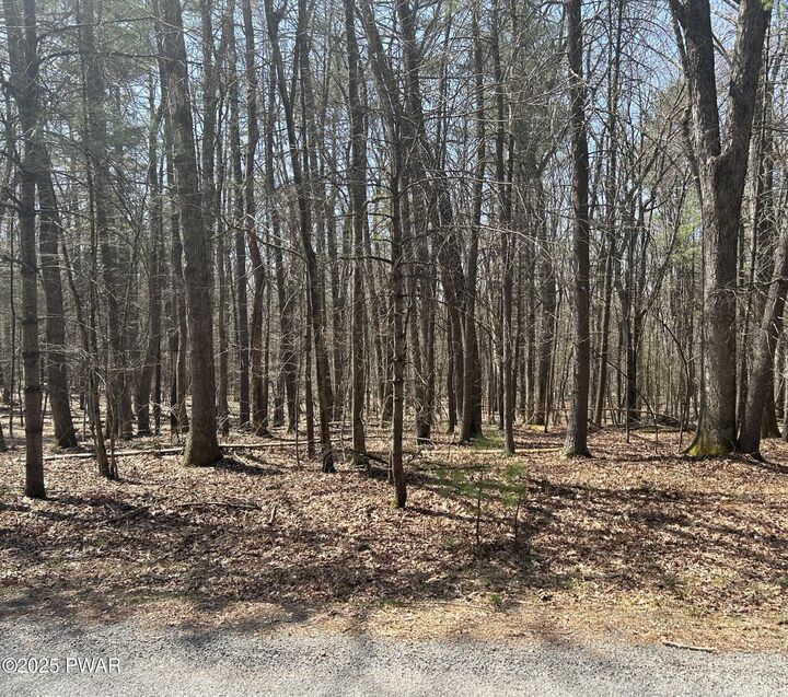 141 Hawks Nest Dr Drive  Hawley PA 18428 photo