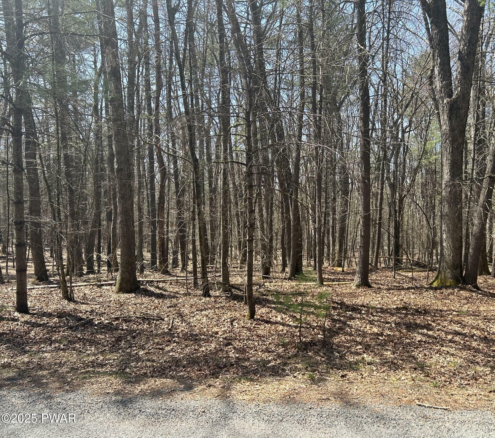 Property Photo: 141 Hawks Nest Dr Drive PA 18428