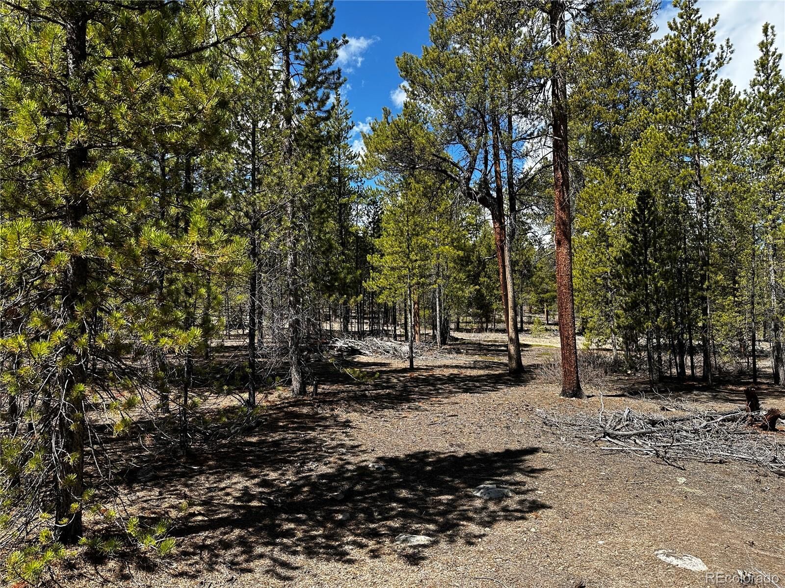 Property Photo:  945 Birch Drive  CO 81251 