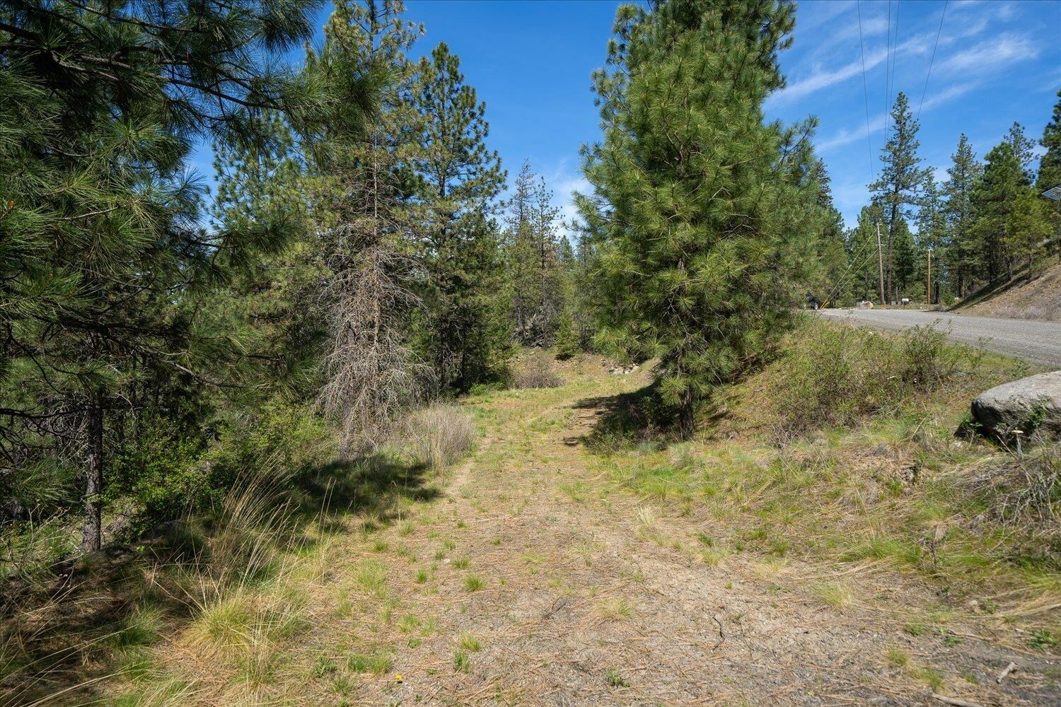 5625 E Grouse Rd  Chattaroy WA 99003 photo