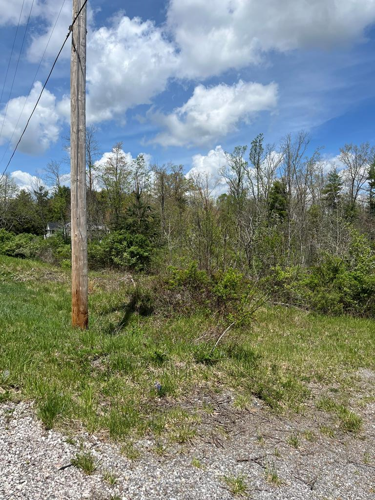 Property Photo: 0 Hinton Road WV 25989