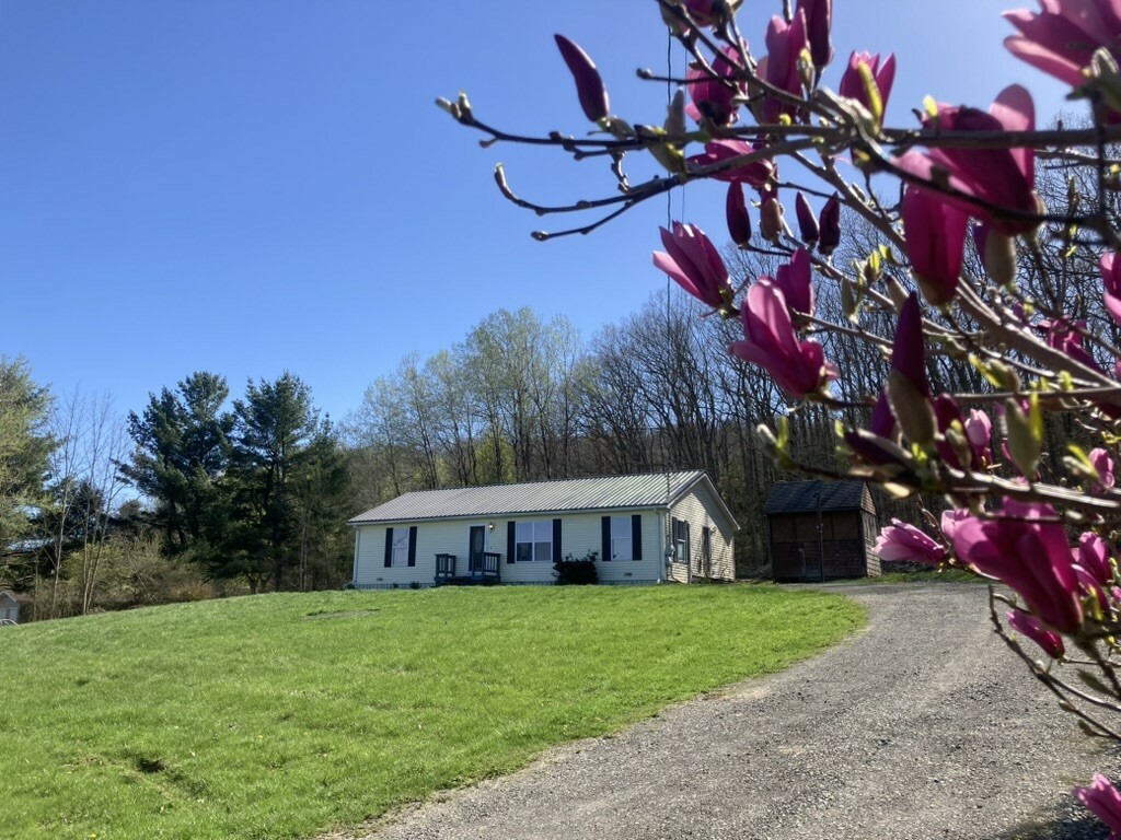 212 S Hill Road  Spencer NY 14883 photo