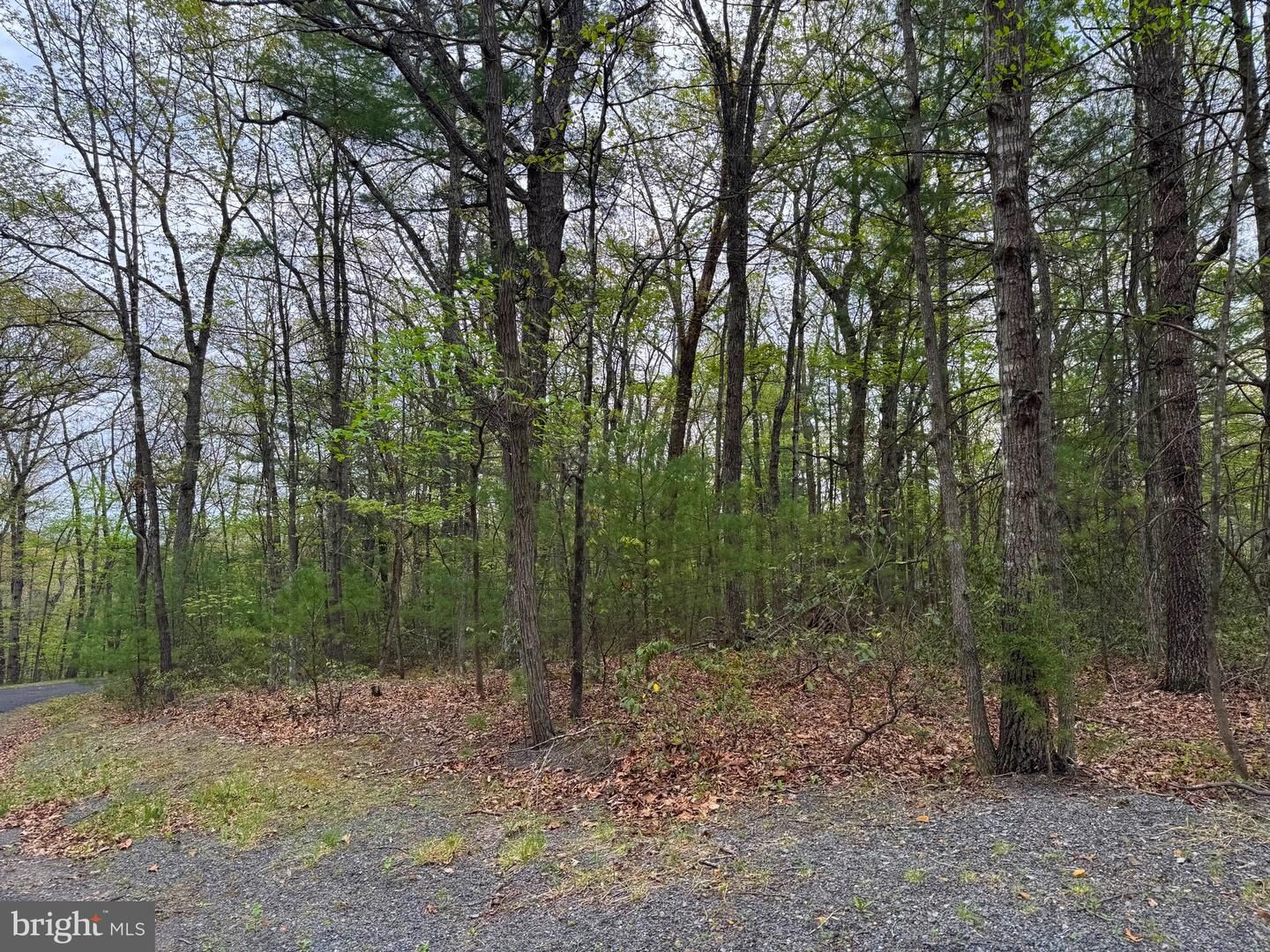 Property Photo:  Lot 17 Dooley  VA 22810 