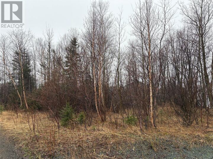 Property Photo:  4 Aspen Street  NL A0G 3B0 
