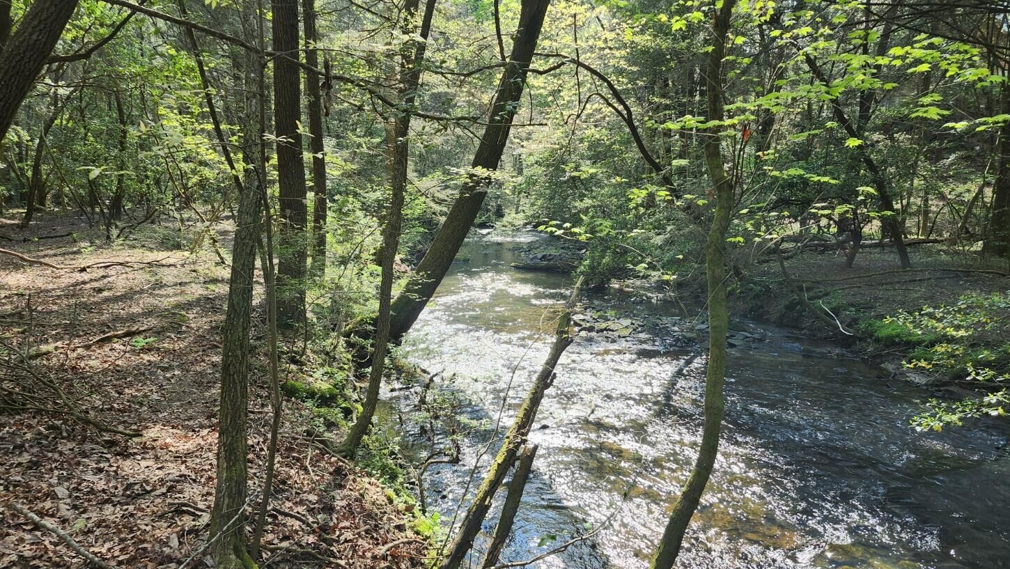Property Photo:  0 Old Holy Water Road  TN 37387 